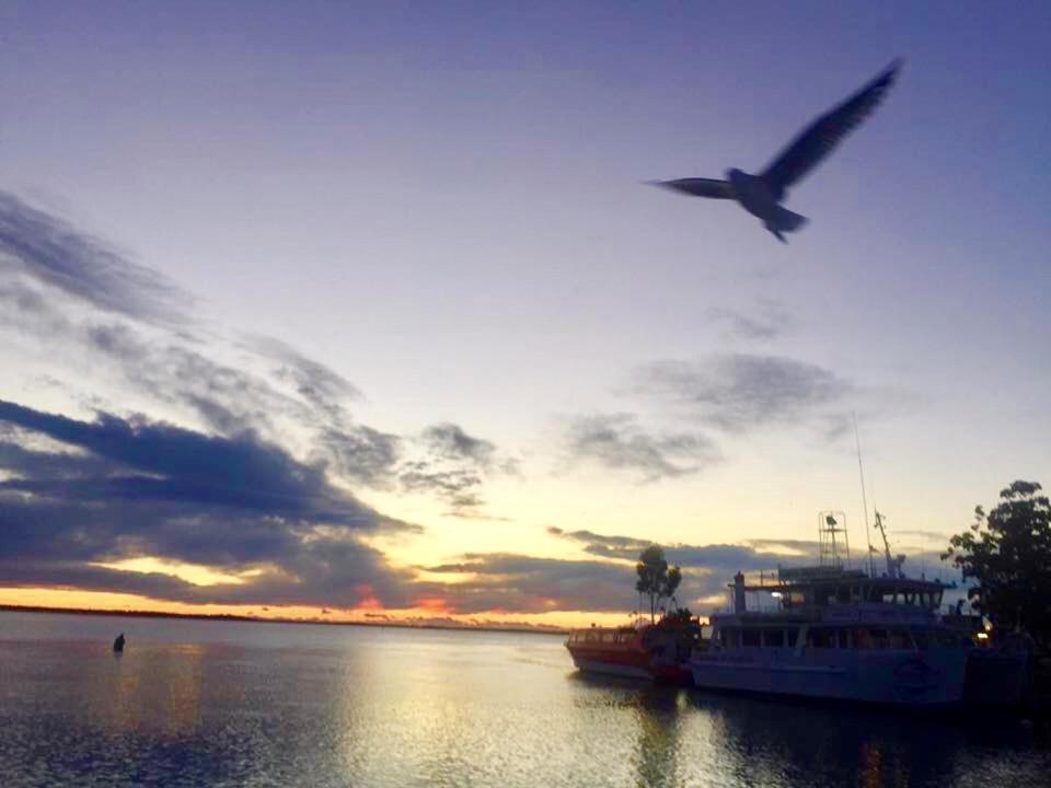 Huskisson Beach Escape Zewnętrze zdjęcie
